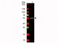 Anti-Mouse IgG2a (Gamma 2a chain)  (Texas Red™ Conjugated) Secondary Antibody